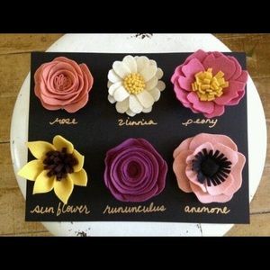 Meet your Posher, Kristine